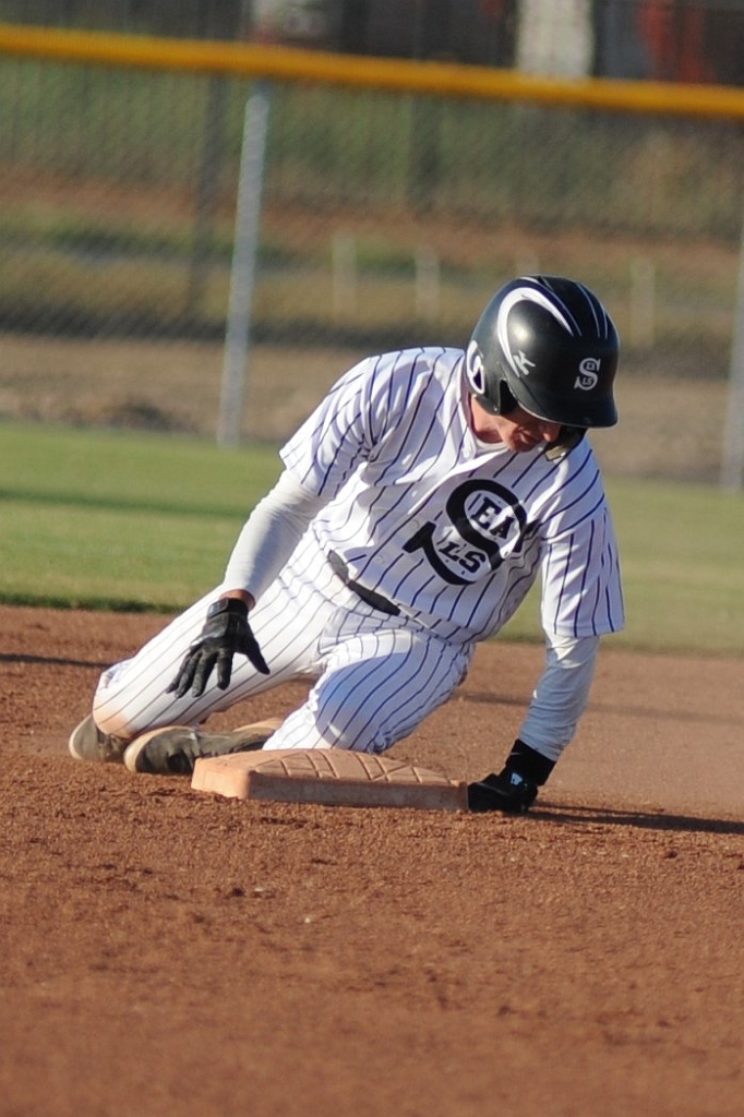 Seals_2019-08-23 (410).JPG - (c)2010 DeVetter